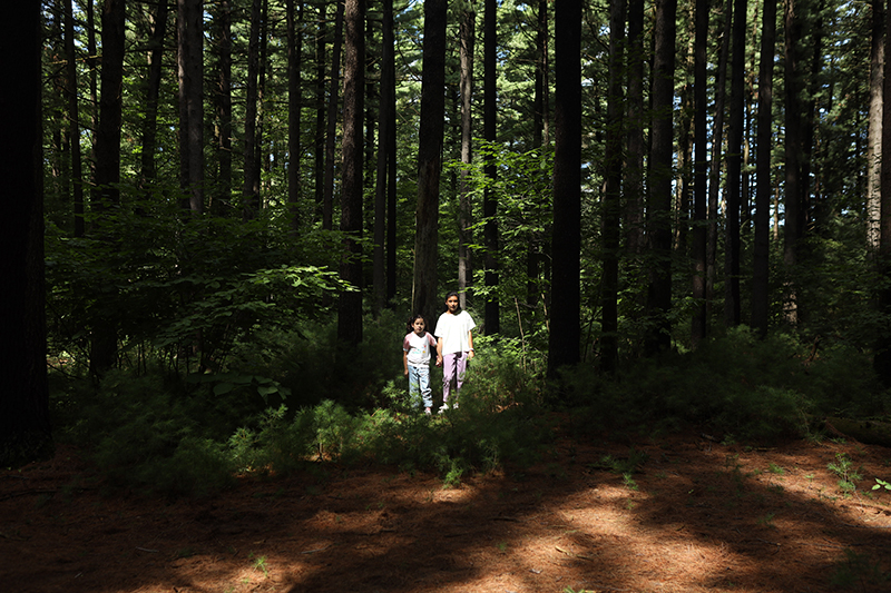 Two girls holding hands standing amongst trees in a forest.