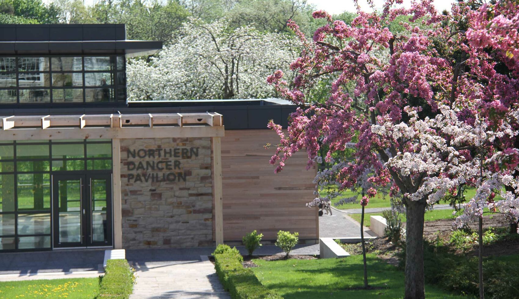 CFC Northern Dancer Pavilion cherry blossoms