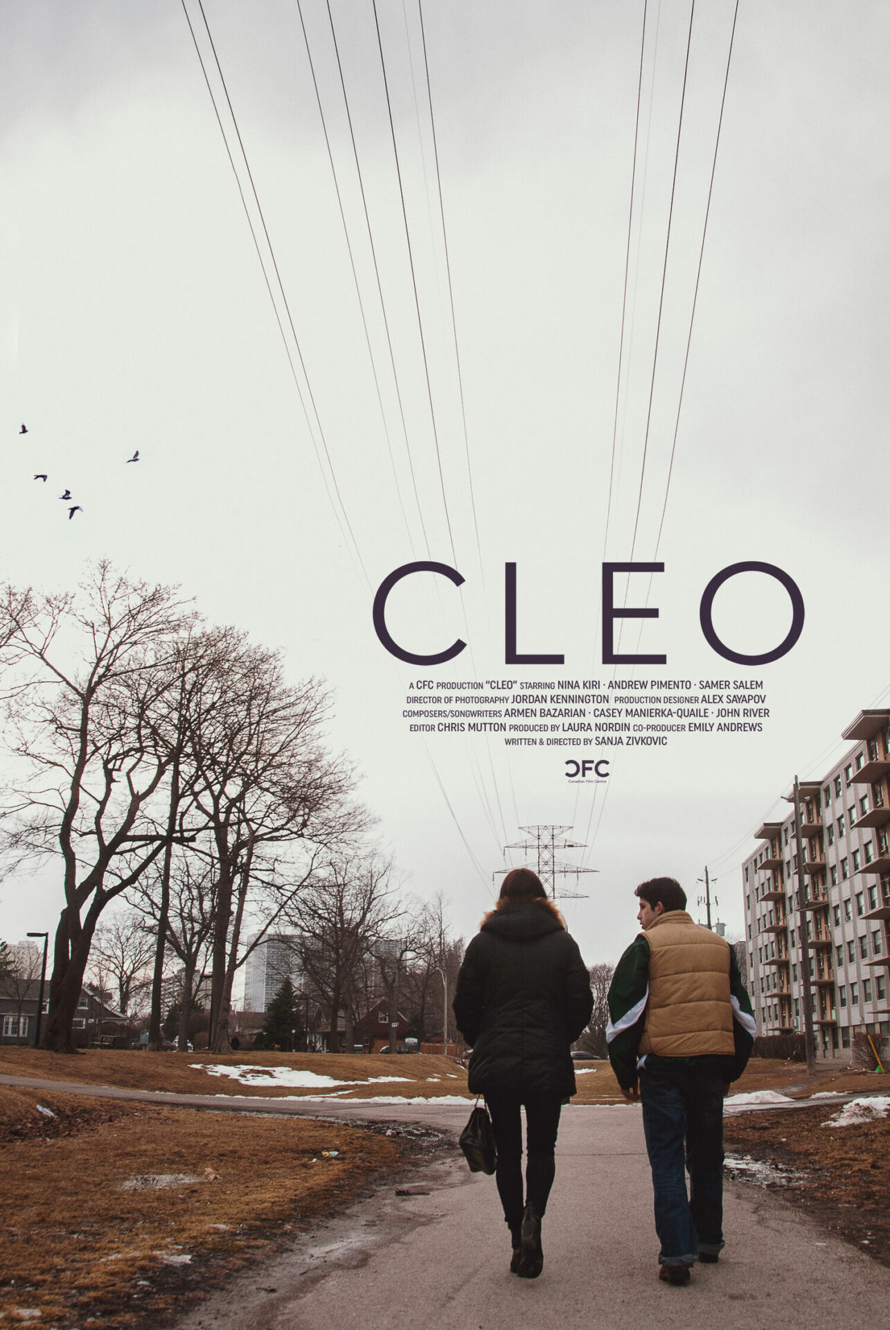 CLEO Poster Final
