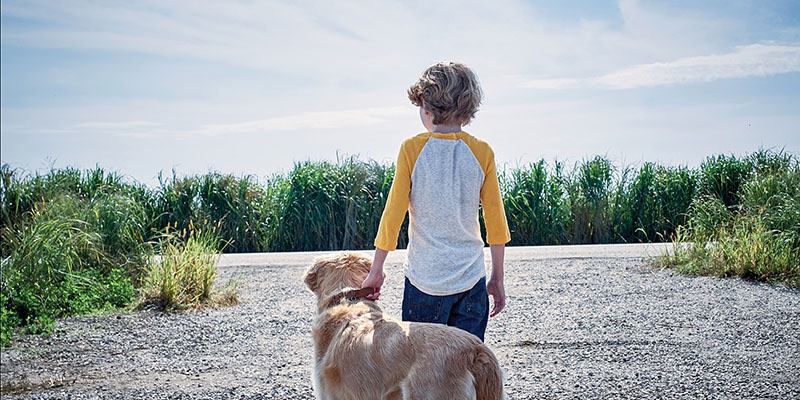 The back of a boy who, standing beside a dog, holding it by the collar