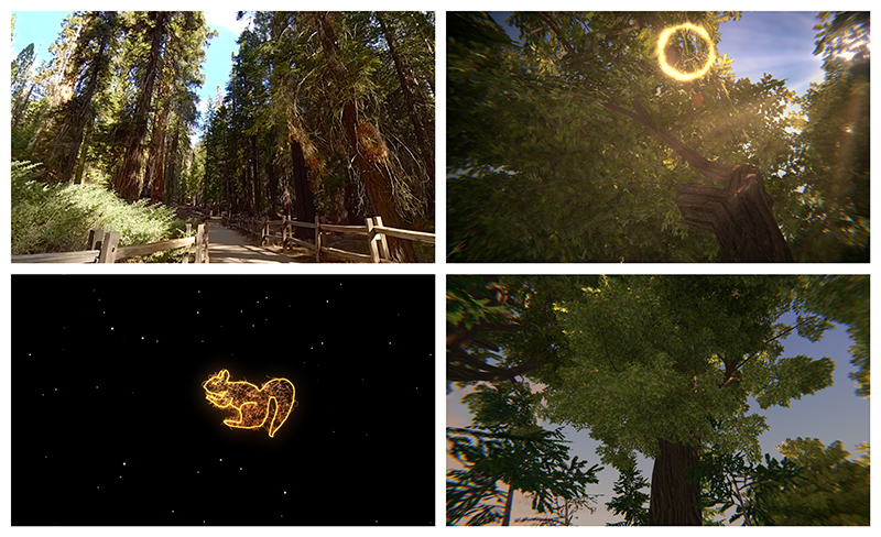 A collage of images from a virtual reality production, including images of sequoia trees