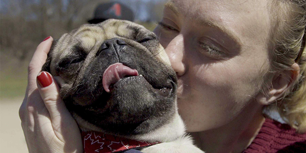 A woman kisses a pug dog's face